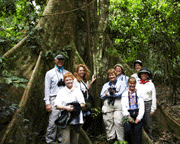 Group in forest