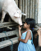 Girl with pig